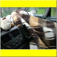 DSCN5529_s.jpg