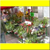 DSCN5602_s.jpg