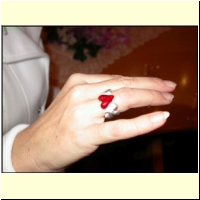 DSCN8644_s.jpg