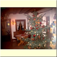 DSCN8666_s.jpg