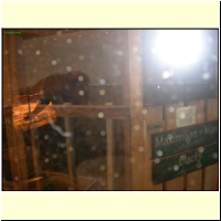 DSCN8756_s.jpg