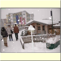 DSCN8764_s.jpg