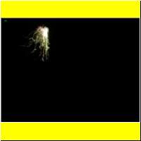 DSCN9021_s.jpg