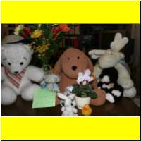 IMG_1269_s.jpg