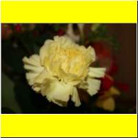 IMG_1280_s.jpg