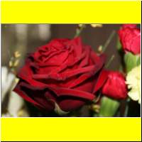 IMG_1282_s.jpg