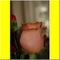 IMG_1287_s.jpg