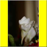IMG_1288_s.jpg
