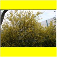 IMG_3745_s.jpg