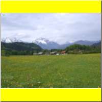 DSCN7905il_s.jpg