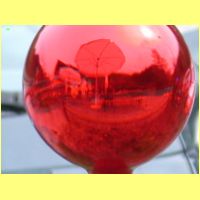 DSCN7906il_s.jpg