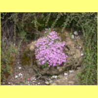 DSCN9974_s.jpg