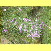 DSCN9976_s.jpg