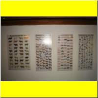 IMG_5175_s.jpg
