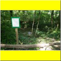 IMG_5190_s.jpg