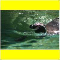 IMG_5214_s.jpg