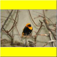 IMG_5302_s.jpg