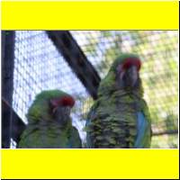 IMG_5339_s.jpg