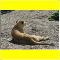 IMG_5362_s.jpg
