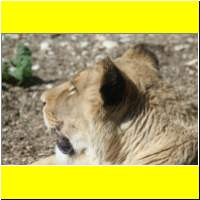 IMG_5369_s.jpg