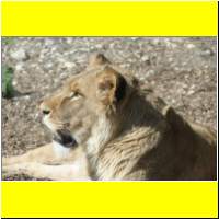 IMG_5372_s.jpg