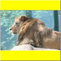 IMG_5373_s.jpg