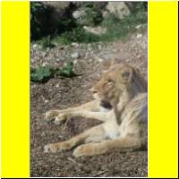 IMG_5374_s.jpg