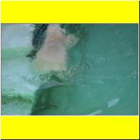 IMG_5394_s.jpg