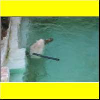 IMG_5398_s.jpg