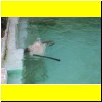 IMG_5399_s.jpg
