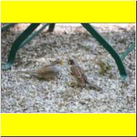 IMG_5469_s.jpg
