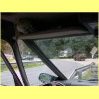 DSCN8370_s.jpg