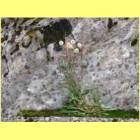 DSCN8818_s.jpg