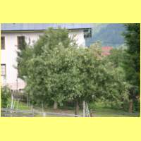 IMG_8889_s.jpg