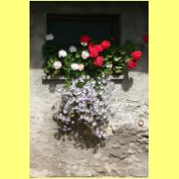 IMG_8897_s.jpg
