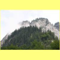 IMG_8933_s.jpg
