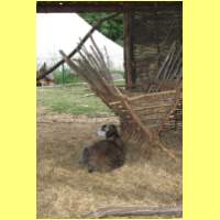 IMG_9457_s.jpg