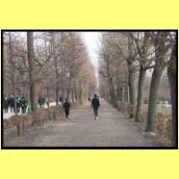 IMG_2643_s.jpg