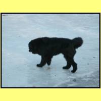 DSCN9275_s.jpg