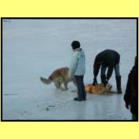 DSCN9278_s.jpg