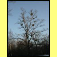 DSCN9283_s.jpg