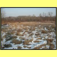DSCN9284_s.jpg