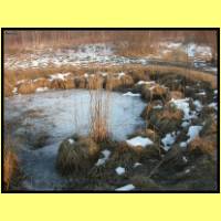 DSCN9285_s.jpg