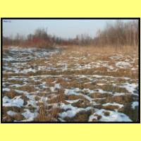 DSCN9286_s.jpg