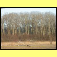 DSCN9290_s.jpg
