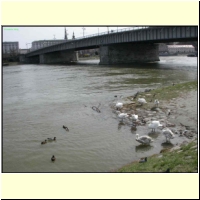 DSCN9621_s.jpg