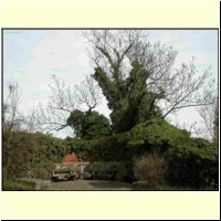 DSCN9645_s.jpg