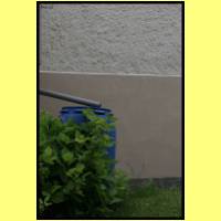 IMG_6068_s.jpg