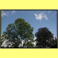 IMG_6082_s.jpg