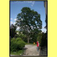 IMG_6114_s.jpg
